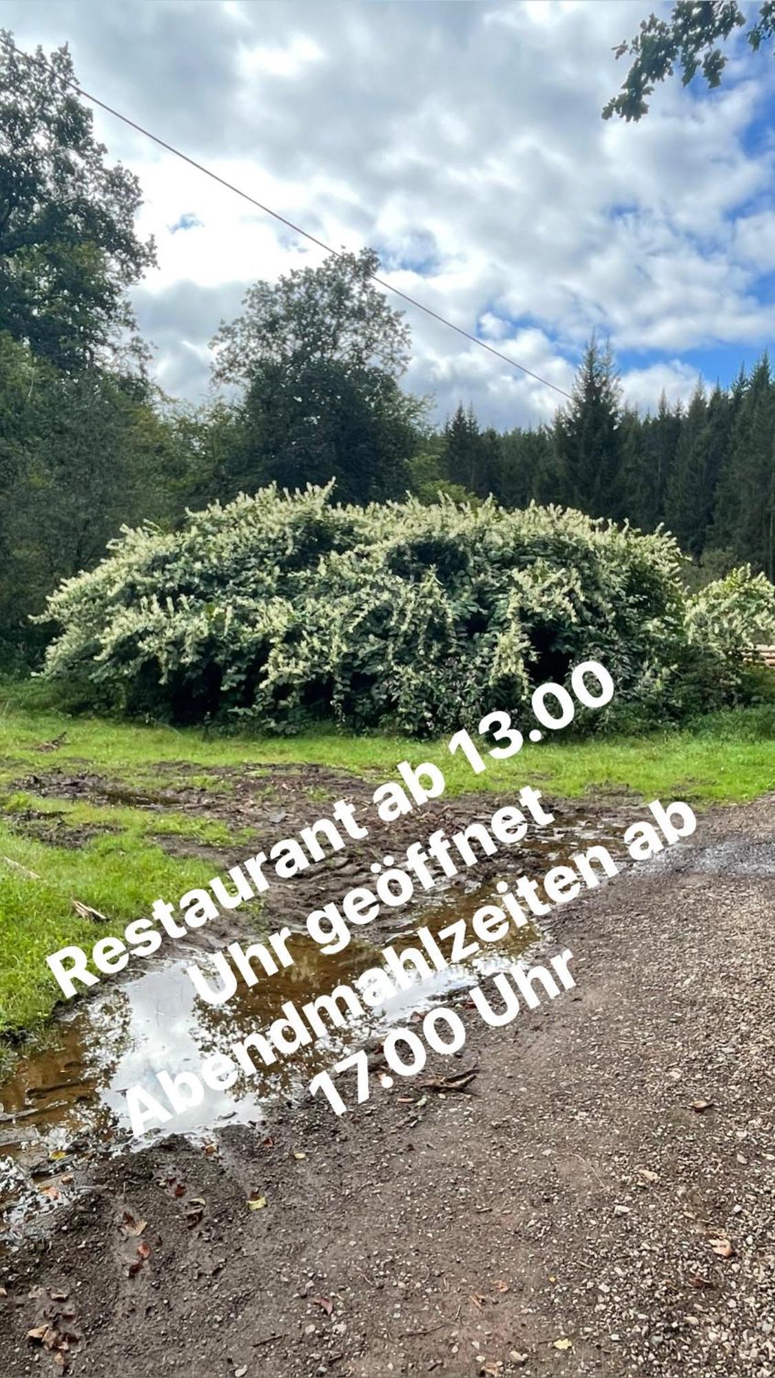 Pension Zur Quelle Deudesfeld Dış mekan fotoğraf